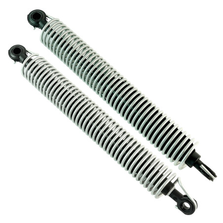 Amortiguadores de maletero para BMW Série 5 F10  (portón trasero) | Star-Pièces