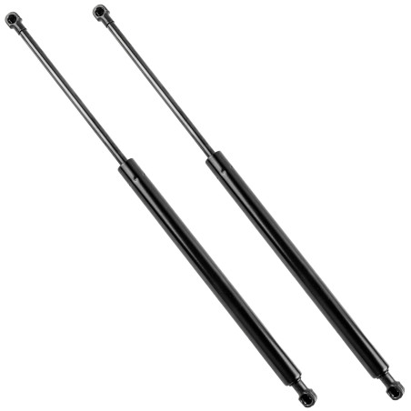 Amortiguadores de maletero para Renault Laguna 3 (portón trasero) | Star-Pièces