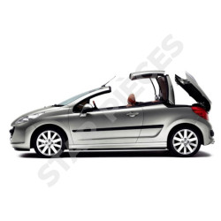 2 verin de coffre pour Peugeot 207 CC (2006-2015) amortisseurs coffre 9680415680, 1635445080, 8731S7, 8731N6 3