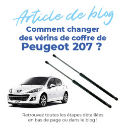 2 vérin de coffre pour Peugeot 207 et 207+ (2006-2014) vérin hayon 7