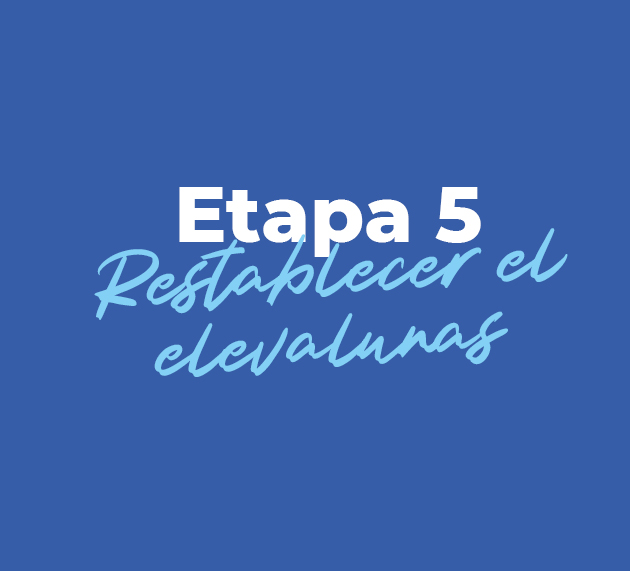 Restablecer el elevalunas de tu Polo 5