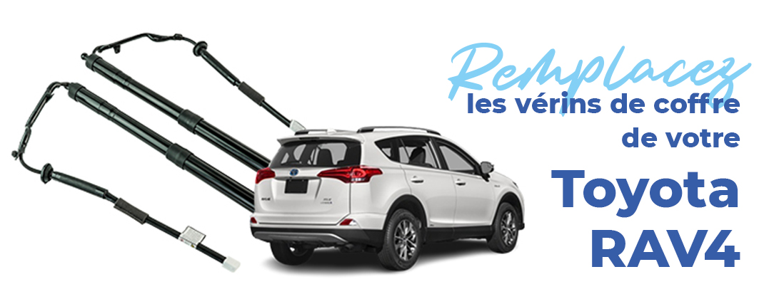 remplacer leve vitre seat toledo