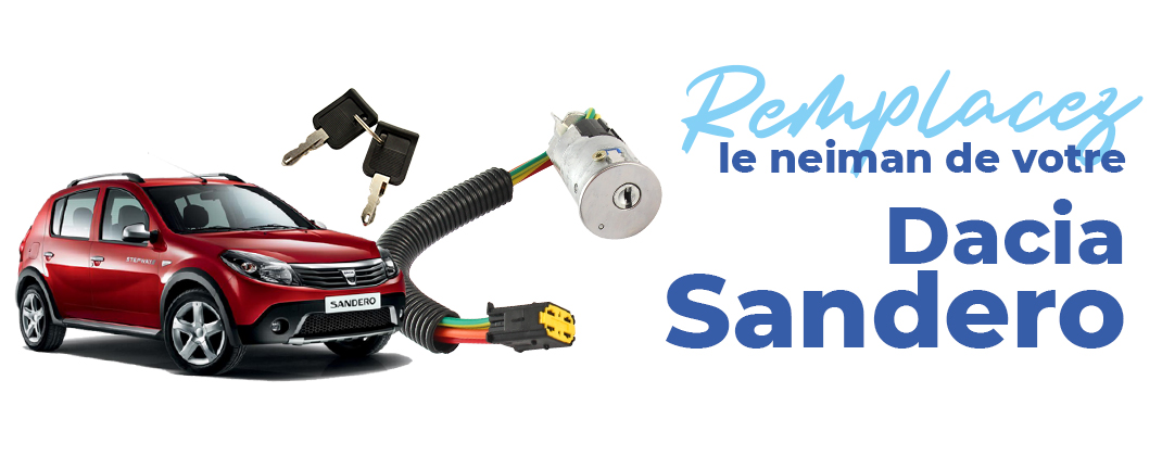 neiman-sandero-bloque--comment-le-reparer-et-le-changer